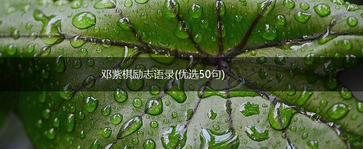 邓紫棋励志语录(优选50句),第1张