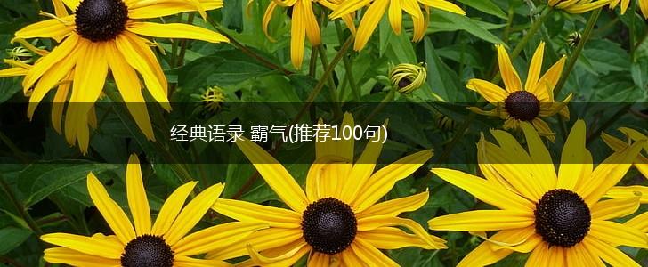 经典语录 霸气(推荐100句),第1张
