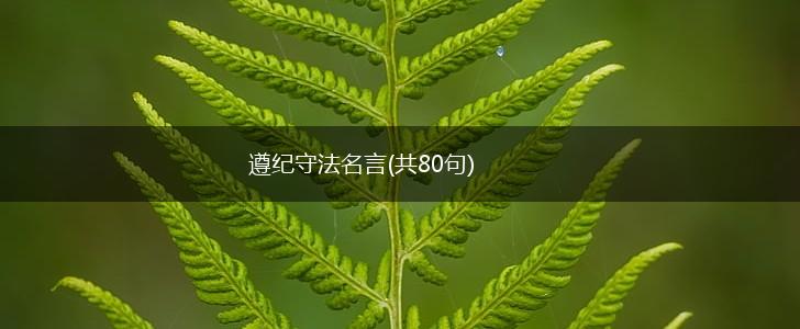 遵纪守法名言(共80句),第1张