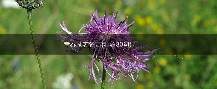 青春励志名言(汇总80句),第1张