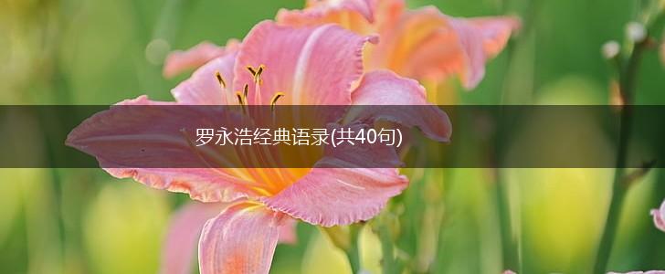 罗永浩经典语录(共40句),第1张