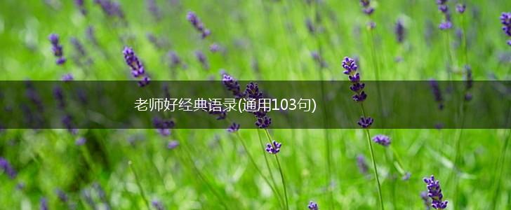 老师好经典语录(通用103句),第1张