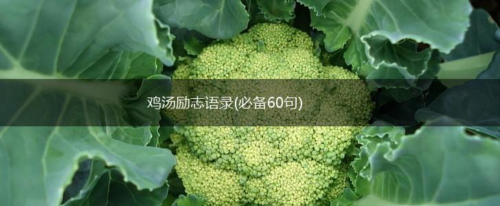 鸡汤励志语录(必备60句),第1张