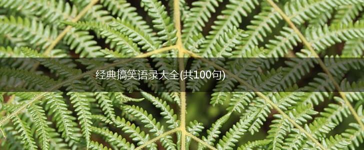 经典搞笑语录大全(共100句),第1张