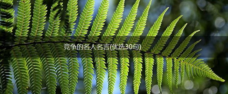 竞争的名人名言(优选30句),第1张