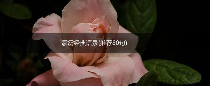 霹雳经典语录(推荐80句),第1张