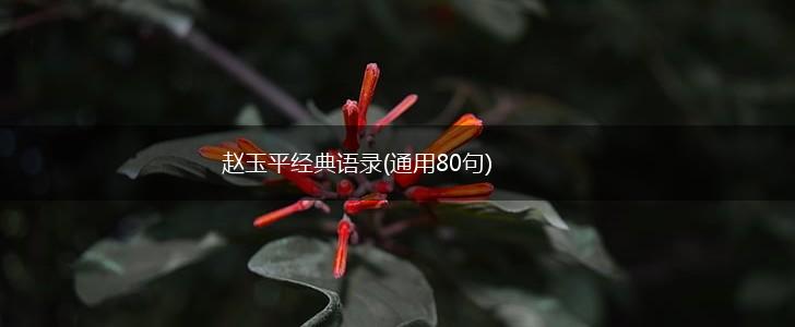 赵玉平经典语录(通用80句),第1张