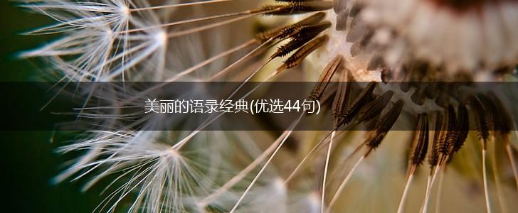 美丽的语录经典(优选44句),第1张