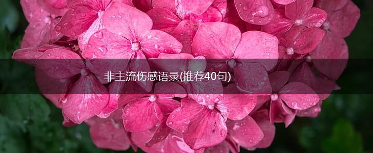 非主流伤感语录(推荐40句),第1张