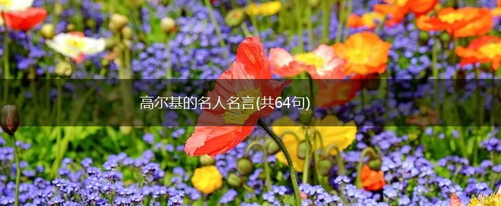 高尔基的名人名言(共64句),第1张