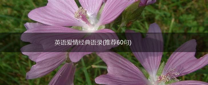 英语爱情经典语录(推荐60句),第1张