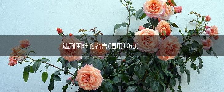 遇到困难的名言(通用10句),第1张