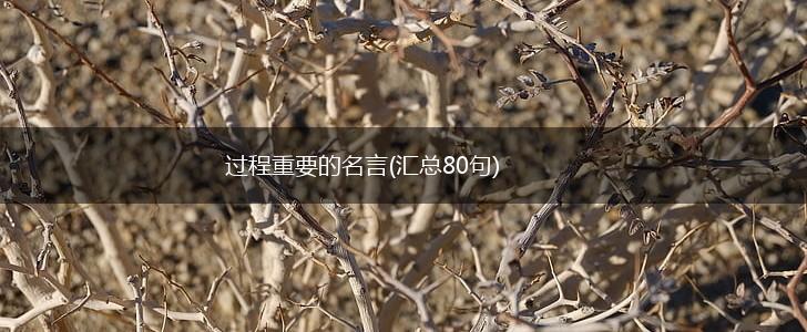 过程重要的名言(汇总80句),第1张 过程重要的名言(汇总80句),第1张