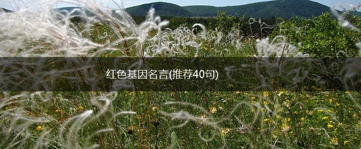 红色基因名言(推荐40句),第1张