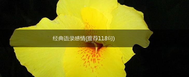 经典语录感情(推荐118句),第1张