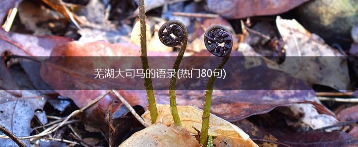 芜湖大司马的语录(热门80句),第1张