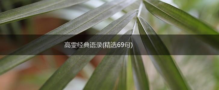 高雯经典语录(精选69句),第1张