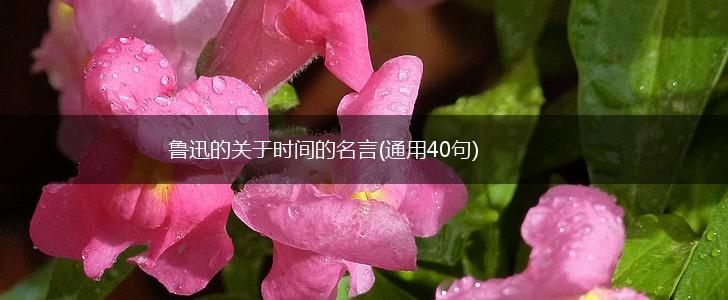 鲁迅的关于时间的名言(通用40句),第1张
