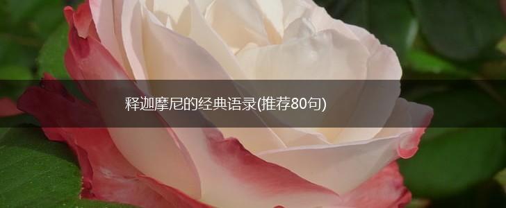 释迦摩尼的经典语录(推荐80句),第1张