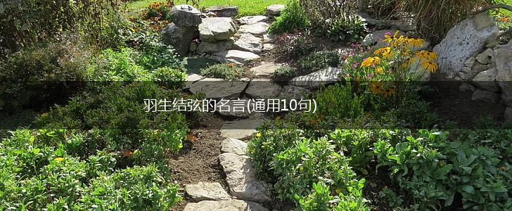 羽生结弦的名言(通用10句),第1张