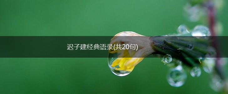 迟子建经典语录(共20句),第1张