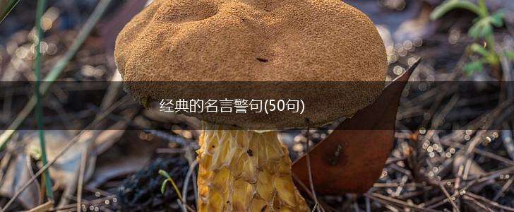 经典的名言警句(50句),第1张 经典的名言警句(50句),第1张