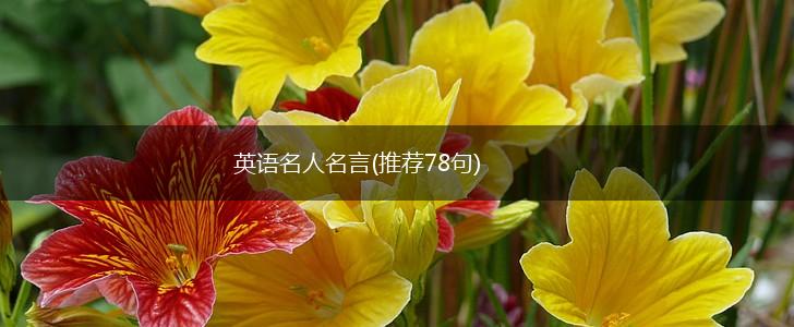 英语名人名言(推荐78句),第1张