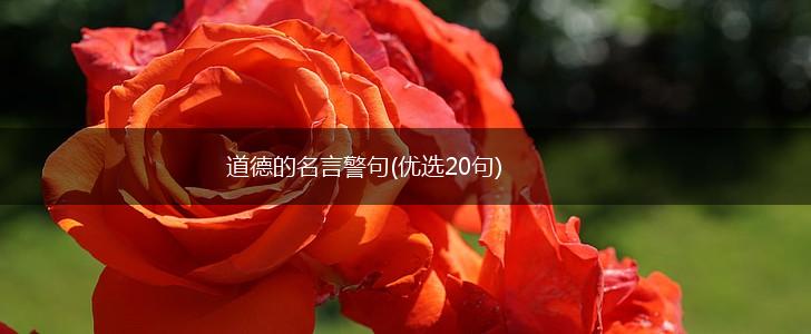 道德的名言警句(优选20句),第1张
