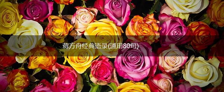 蒋方舟经典语录(通用80句),第1张