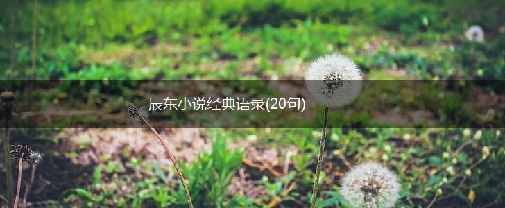 辰东小说经典语录(20句),第1张
