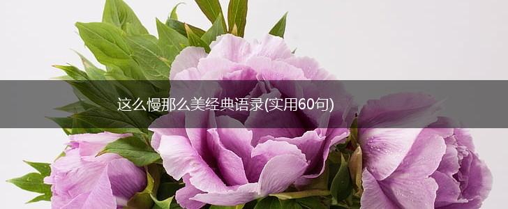 这么慢那么美经典语录(实用60句),第1张