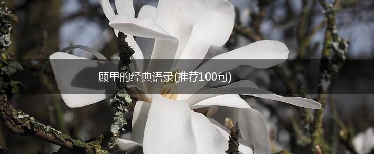 顾里的经典语录(推荐100句),第1张
