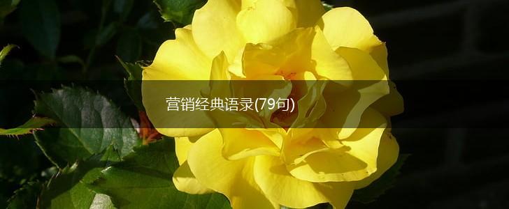 营销经典语录(79句),第1张