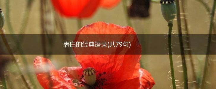 表白的经典语录(共79句),第1张