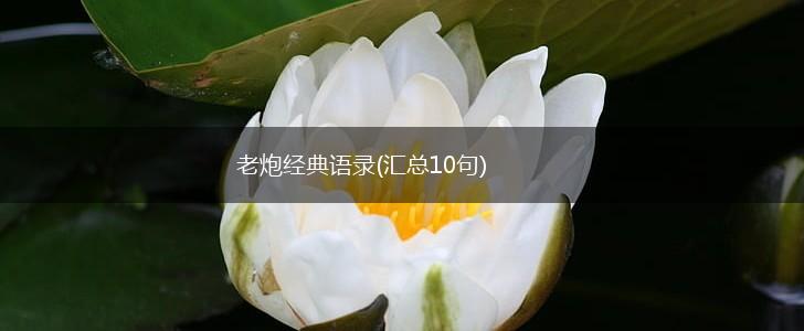 老炮经典语录(汇总10句),第1张
