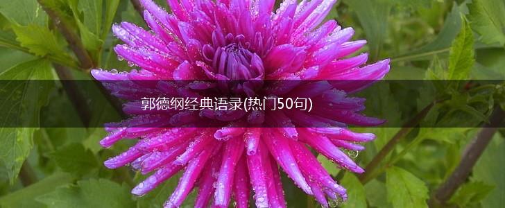 郭德纲经典语录(热门50句),第1张