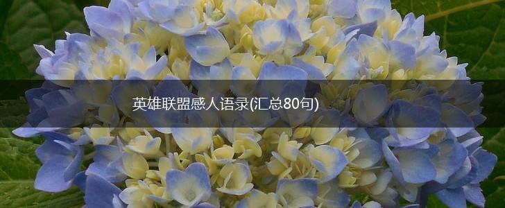 英雄联盟感人语录(汇总80句),第1张