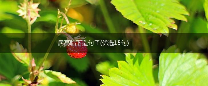 居高临下造句子(优选15句),第1张