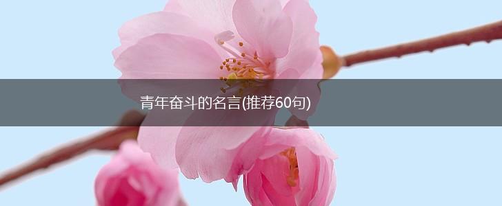 青年奋斗的名言(推荐60句),第1张