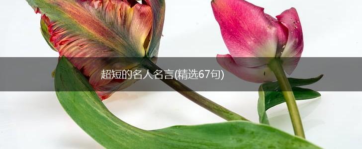 超短的名人名言(精选67句),第1张 超短的名人名言(精选67句),第1张