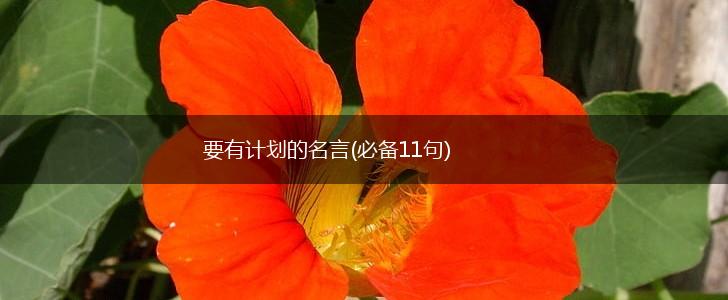 要有计划的名言(必备11句),第1张