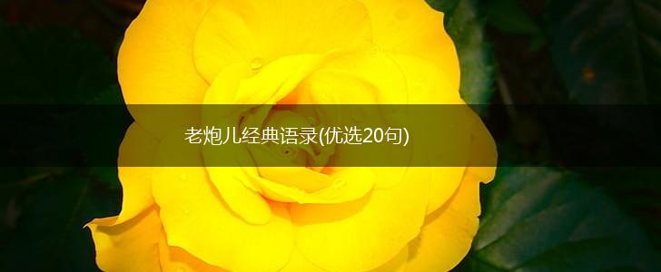 老炮儿经典语录(优选20句),第1张