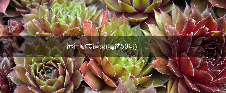 远行励志语录(精选50句),第1张