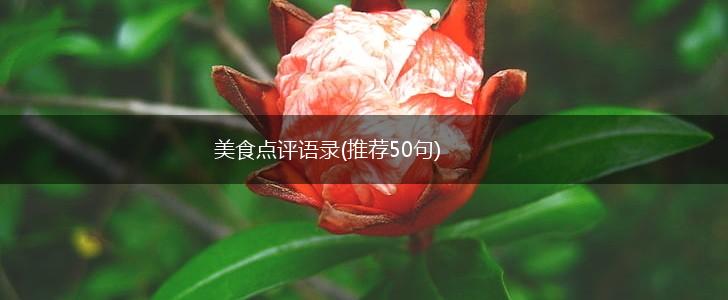 美食点评语录(推荐50句),第1张
