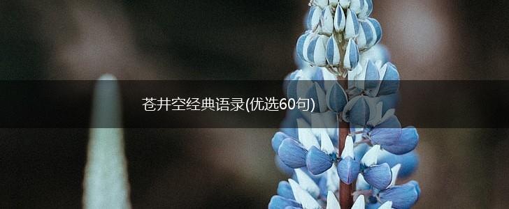 苍井空经典语录(优选60句),第1张