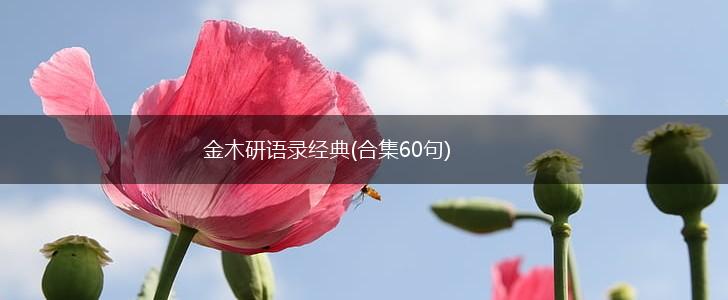 金木研语录经典(合集60句),第1张