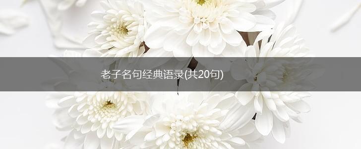 老子名句经典语录(共20句),第1张