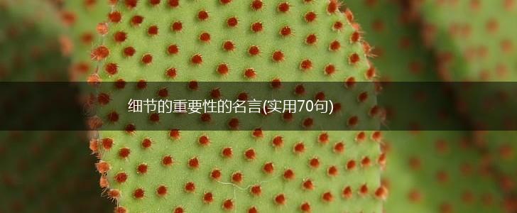 细节的重要性的名言(实用70句),第1张