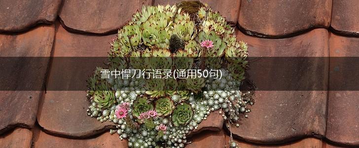 雪中悍刀行语录(通用50句),第1张