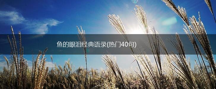 鱼的眼泪经典语录(热门40句),第1张